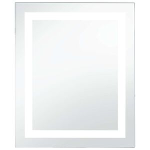 vidaXL Vonios kambario veidrodis su LED ir liečiamu jutikliu, 60x80cm