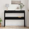 vidaXL Konsolinis stalas Juodas ąžuolas 80 x 30 x 102 cm