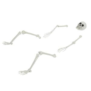vidaXL Helovino skeletas su žemės kuolais Balta 45,5 x 13 cm