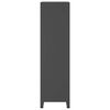 vidaXL Drabužių spinta, antracito spalvos, 90x50x180cm, metalas