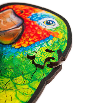 UNIDRAGON Medinė dėlionė Playful Parrots, 620 detalių, 72x40cm