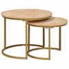 vidaXL Sudediami kavos stalai 2 vnt. Ruda 50 x 50 x 40 cm