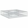 vidaXL Gabioninė pakelta lova 100 x 100 x 20 cm Cinkuota plienas