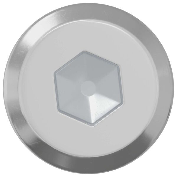 vidaXL Užrakinimo varžtas Paprastas 2 pcs Sidabro M6 x 30 mm Plienas