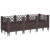 vidaXL Sodo lovelis su kuoliukais, rudas, 123,5x43,5x43,5cm, PP