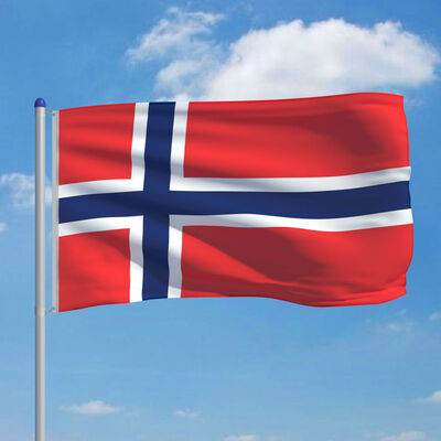 vidaXL Norvegijos vėliava su stiebu, aliuminis, 6m