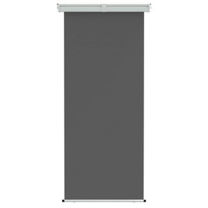 vidaXL Balkono &Scaron;oninė Markizė 100% poliesteris, geležis, plienas