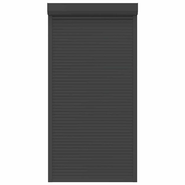 vidaXL Žaliuzės, antracito spalvos, 110x220cm, aliuminis