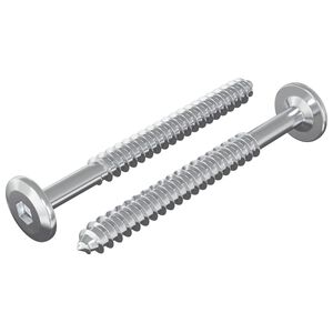 vidaXL Mediniai varžtai 2 vnt. Sidabrinė M6 x 70 mm Plienas
