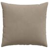 vidaXL Sofa Pagalvės 2 pcs Taupe 45 x 45 cm audinys