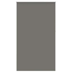 vidaXL roletas smėlio Pilka 125x210 cm audinio plotis 121,6 cm