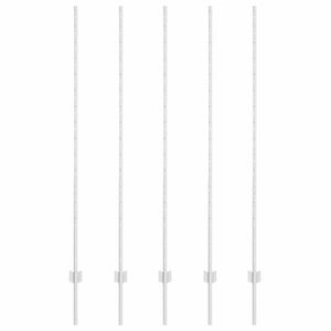 vidaXL Įmontuotas tvoros stulpas 5 pcs Sidabrinė 200 cm