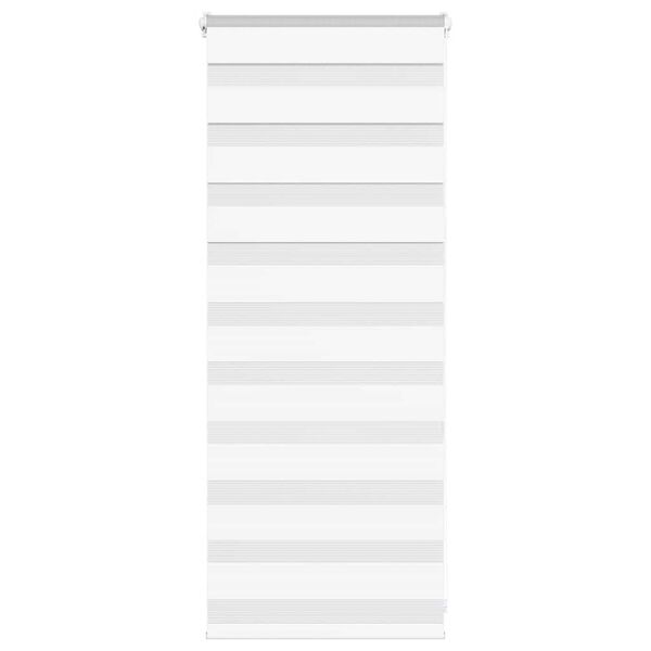 vidaXL zebrinės žaliuzės 60x100 cm audinio plotis 55,9 cm poliesteris