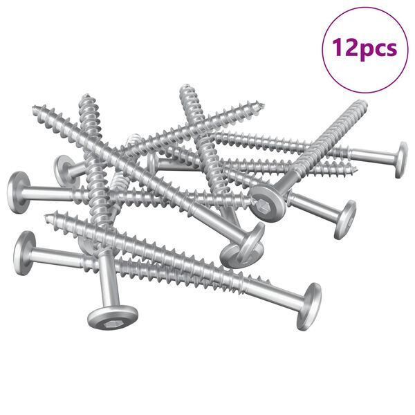 vidaXL Mediniai varžtai 12 pcs Sidabro M6 x 70 mm Plienas