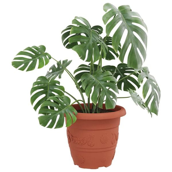 Rodomas prekėsprodukto vaizdas 3 i&scaron; 9