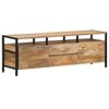 vidaXL Televizoriaus spintelė, 120x30x40cm, mango medienos masyvas