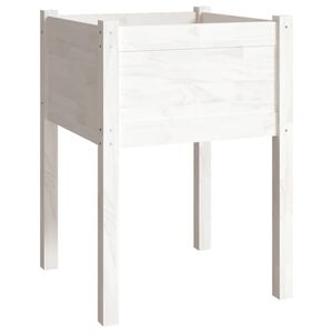 vidaXL Sodo lovelis, baltas, 50x50x70cm, pu&scaron;ies medienos masyvas