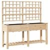 vidaXL Sodo vazonas Smėlio 161 x 46 x 152,5 cm Kietasis pu&scaron;inis medis
