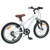 vidaXL Kids Mountain Bike 20 Colių 6-Speed 5-8 metų amžiaus Balta