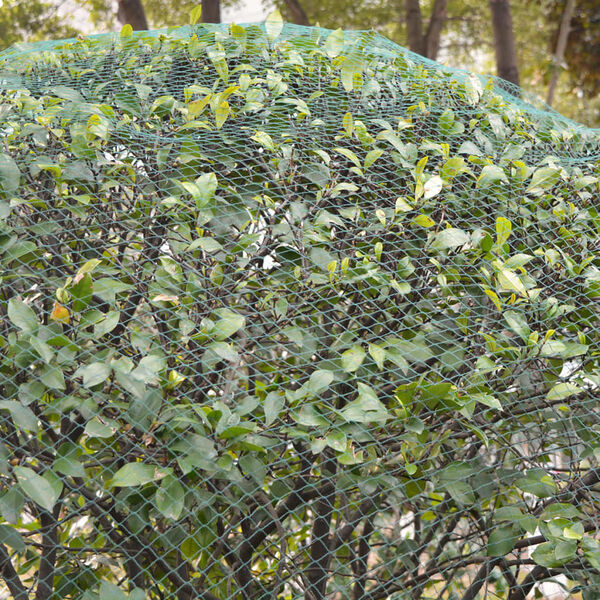 vidaXL tinklas nuo paukščių, 4x10 m, 5 vnt., PP