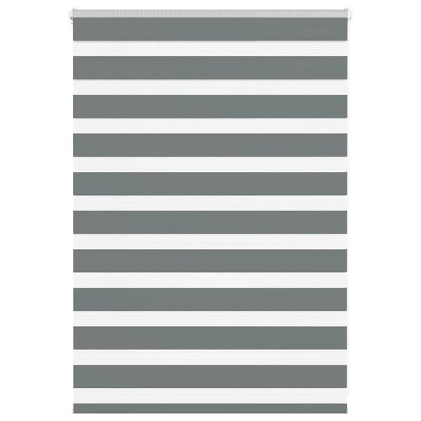 vidaXL zebrinės žaliuzės 100x100 cm audinio plotis 95,9 cm poliesteris