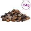 vidaXL Poliruoti akmenukai, įvairių spalvų, 25kg, 2&ndash;5cm
