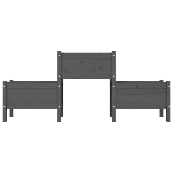 vidaXL Lovelis, pilkas, 178,5x44x75cm, pušies medienos masyvas