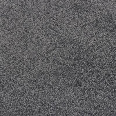 vidaXL Durų kilimėlis, antracito spalvos, 80x120cm
