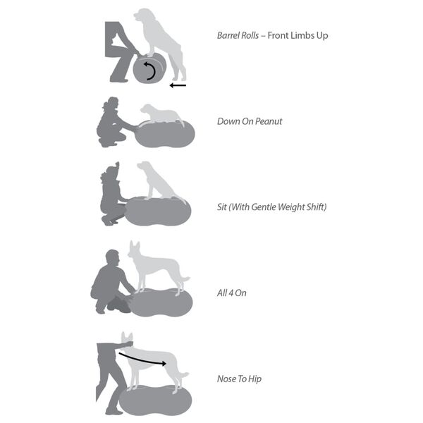 FitPAWS Balansinė platforma augintiniams Trax Peanut, geltona, 40cm