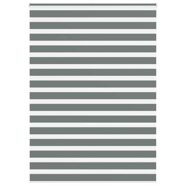 vidaXL zebrinės žaliuzės 165x200 cm audinio plotis 160,9cm poliesteris