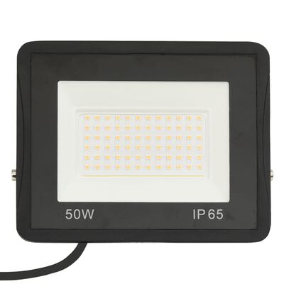 vidaXL LED prožektoriai, 2vnt., šaltos baltos spalvos, 50W