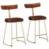 vidaXL Baro taburetės, 2vnt., 49x43x79 cm, medžio masyvo mango