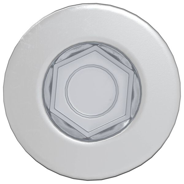 vidaXL Galvutės varžtas 2 pcs Sidabro M7 x 40 mm Plienas