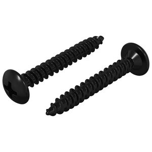 vidaXL Srieginiai Nagai 2 vnt. Juoda M4 x 28 mm Plienas
