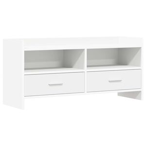 vidaXL Televizoriaus spintelė 100 x 33 x 47 cm Balta Apdirbta mediena