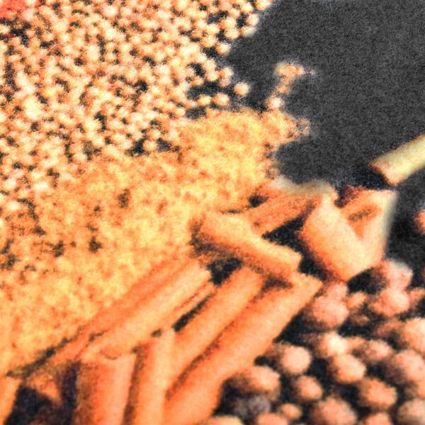 vidaXL Virtuvės kilimas, 60x300cm, plaunamas, su prieskoniais