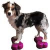 FitPAWS Balansinės platformos Mini K9FITbone, 2vnt., 29x16,5x6cm