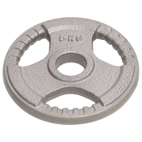 vidaXL Olimpiniai svoriai, 2vnt., 10kg, ketus