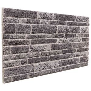 vidaXL Sienų plok&scaron;tės 10 vnt. 100 x 50 cm Antracito EPS putos