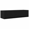 vidaXL Televizoriaus spintelė 100 x 31 x 25,5 cm juoda ąžuolo