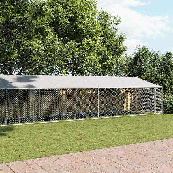 vidaXL Narvas šunims su stogu ir durimis, pilkas, 12x2x2m, plienas