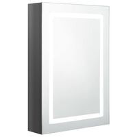vidaXL Veidrodinė vonios spintelė su LED, pilka, 50x13x70cm, blizgi