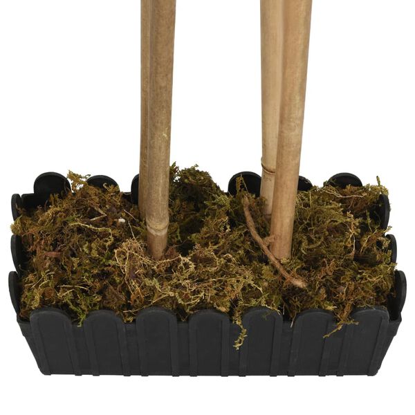 Rodomas prekėsprodukto vaizdas 4 i&scaron; 5