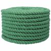 vidaXL Medvilninė virvė 20 mm 100 m Žalia 100% Medvilnė