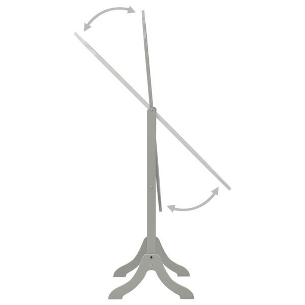 vidaXL Pastatomas veidrodis, pilkos spalvos, 46x48x164cm