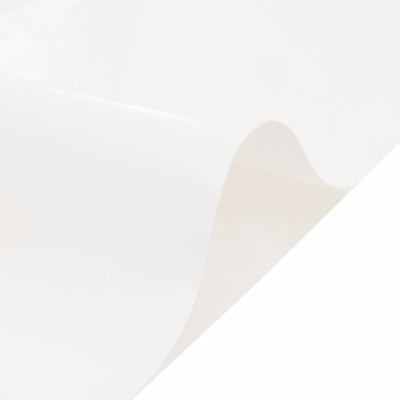 vidaXL Tentas, baltos spalvos, 2,5x4,5m, 650g/m²