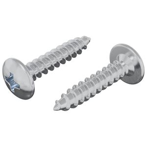 vidaXL Savaranki&scaron;kai įsukamas vienas 2 vnt. Cinkuota 4 x 20 mm Plienas