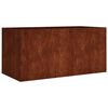 vidaXL Lovelis, 80x40x40cm, Corten plienas