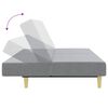vidaXL Dvivietė sofa-lova su pakoja, &scaron;viesiai pilkos spalvos, audinys