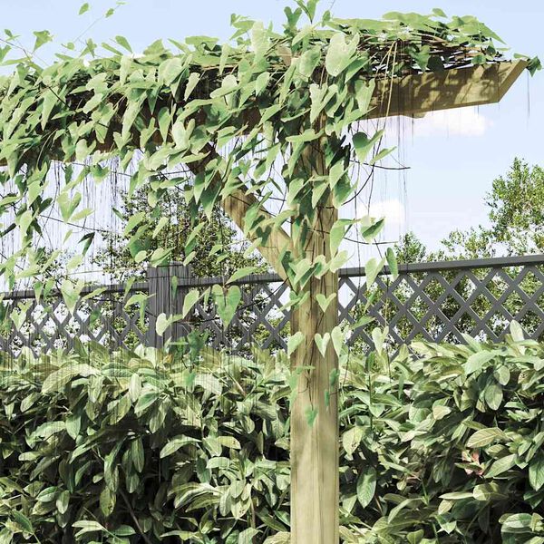 Rodomas prekėsprodukto vaizdas 4 i&scaron; 11